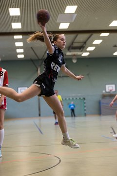 Bild 151 - wBJ SV Henstedt Ulzburg - Bramstedter TS : Ergebnis: 27:15